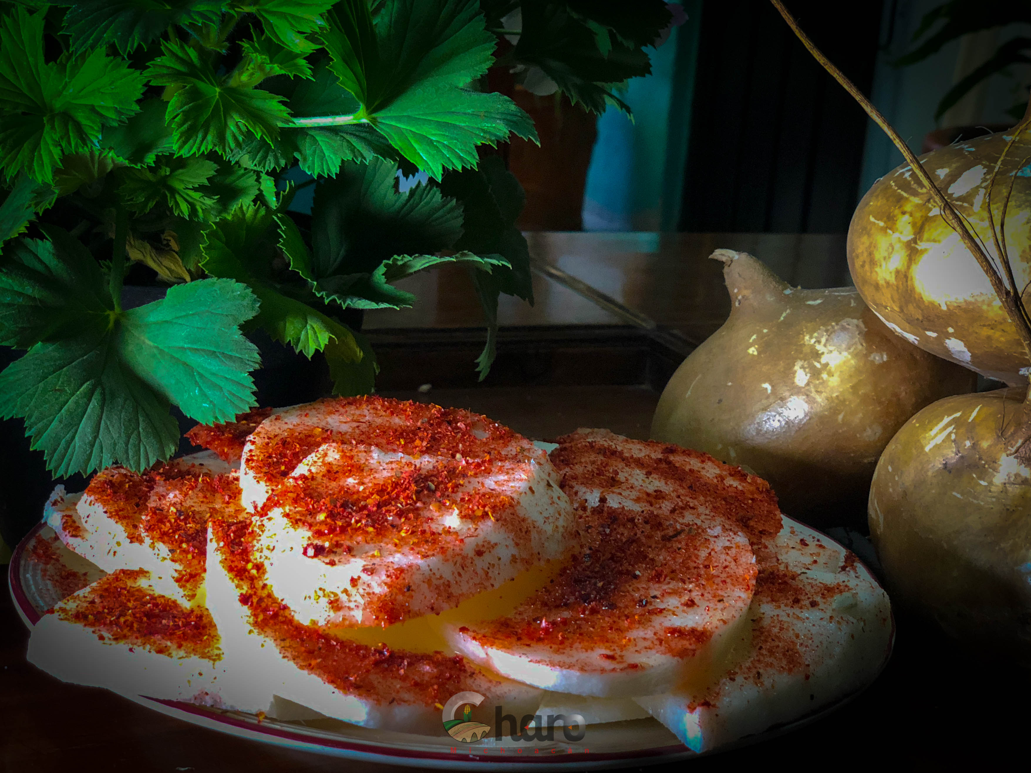 Charo Michoacán Tradición 4